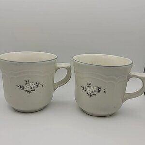 Two - Vintage Pfaltzgraff Discontinued Heirloom Pattern Coffee Mugs